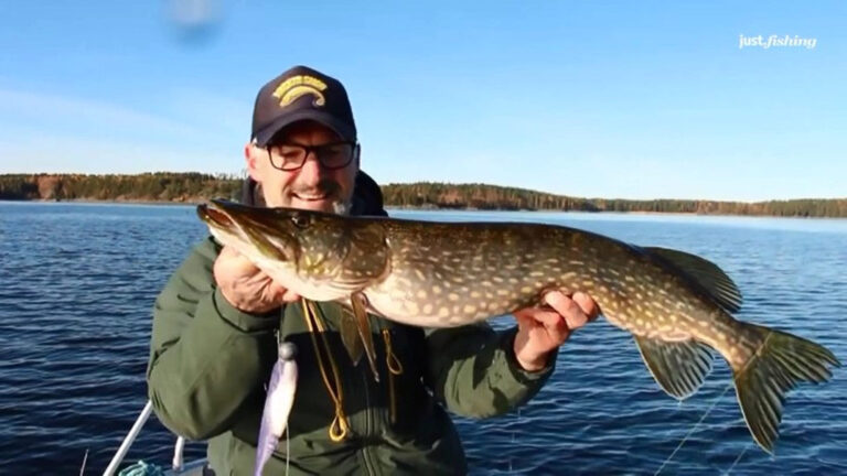 Just Fishing neu aus Astra 19.2 - Satindex Blog